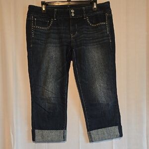American Eagle Women's Artist Crop Jeans Size 12